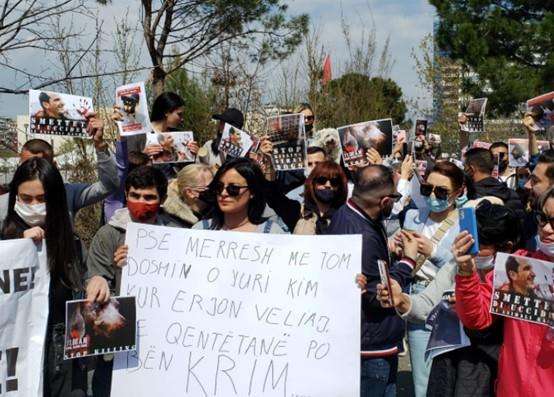 Ο Δήμος Τιράνων δηλητηριάζει τα αδέσποτα, έντονες διαμαρτυρίες των φιλοζωικών οργανώσεων