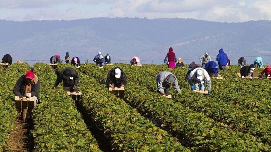 Αγροτικοί σύλλογοι ζητούν το άνοιγμα της Κρυσταλλοπηγής για τη διέλευση εργατών γης