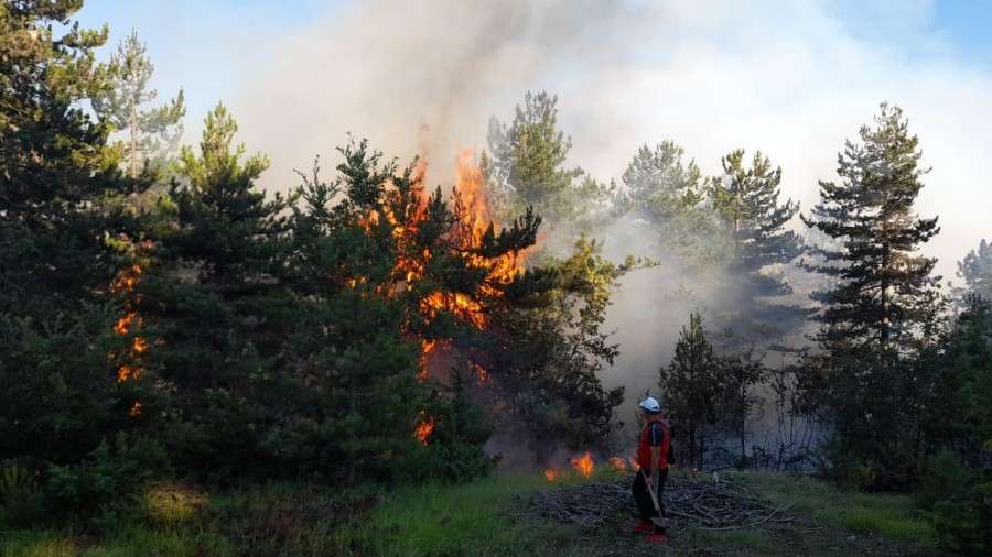 Πυρκαγιές στην Κορυτσά - Δρένοβο και Βιθκούκι σε κίνδυνο