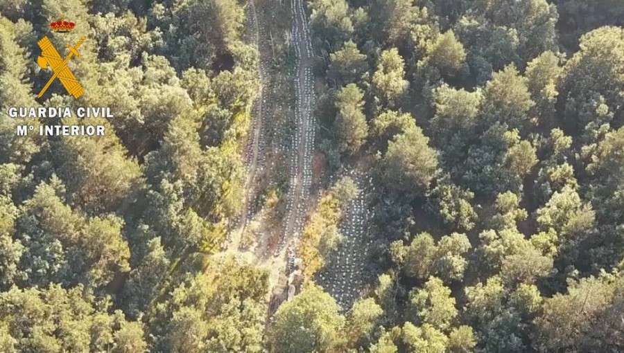 Ισπανία: Σύλληψη Αλβανών για καλλιέργεια κάνναβης σε δασικές εκτάσεις