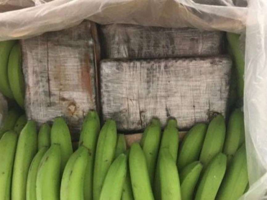 Τίρανα: 100 κιλά κοκαΐνης βρέθηκαν σε φορτίο εταιρείας φρούτων