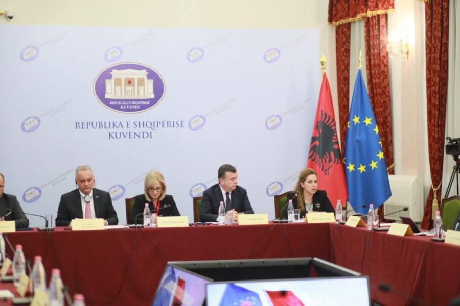 Τζάτσκα: Η Αλβανία σέβεται πλήρως τα μειονοτικά δικαιώματα