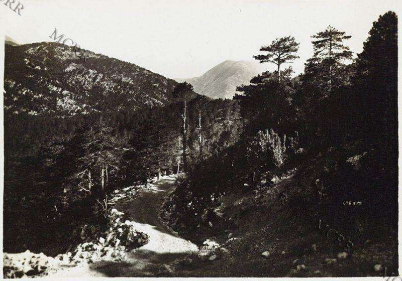 Νικηφόρος μάχη 28ης Δεκεμβρίου 1912 στη διάβαση Λογαρά της επαρχίας Χιμάρας