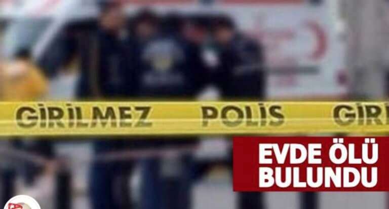 imvros-768x412.jpg