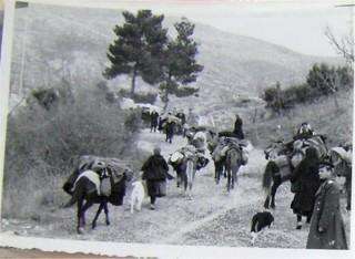 b2ap3 small epanapatrismos ellinon 1961