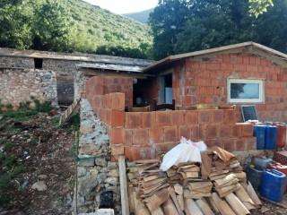 b2ap3 small received 1679215655550542 resize 27 compress88