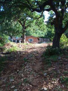 b2ap3 small received 309191726772730 resize 72 compress33