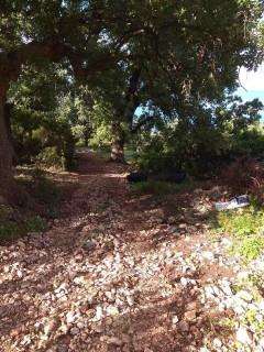 b2ap3 small received 400052827620136 resize 42 compress94