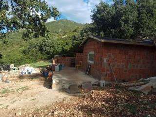 b2ap3 small received 651559465573100 resize 40 compress55