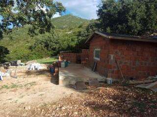 b2ap3 small received 717698229060952 resize 81 compress38