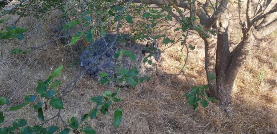 223303856 10226770713833011 2658213840015579135 n