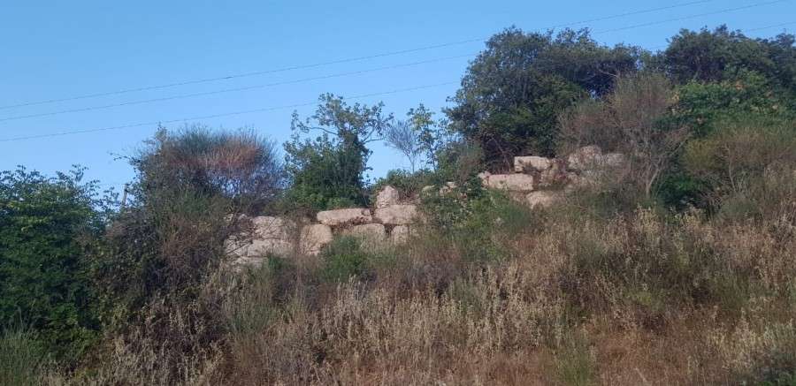 224734557 10226770709352899 1520537916555564059 n