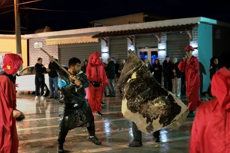 FOTO 04 Ariu eshte nje prej simboleve kryesore ne Karnavalet e Nartes. Te rinjte veshin me rradhe lekuren qe e simbolizon ate dhe te tjeret e rrahin per ta zbutur. Foto Nensi Bogdani 750x500 1