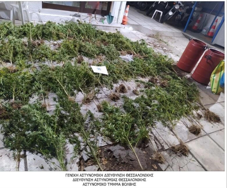 Katagraphe 4 2ac106e86f5c0989160274a1447a7e30