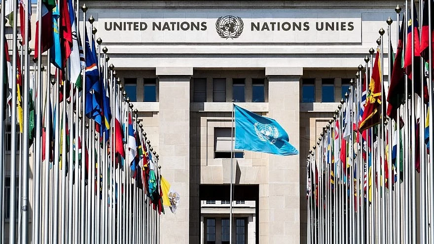 un-human-rights.webp