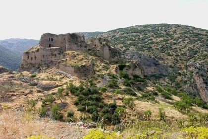 clipboard---2024-02-25T202549.462.webp