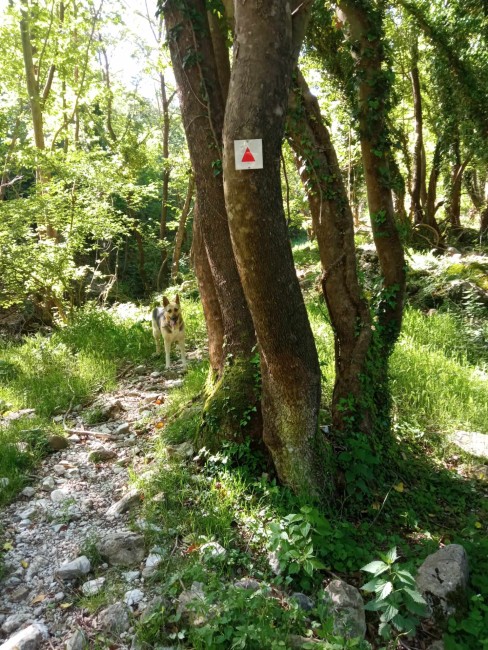 440783047 451805507354683 8683832765941094735 n 1