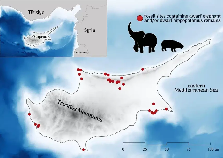 Cyprus-map-of-fossil-sites-dwarf-elephants-and-hippos-Credit-Courtesy-of-CJA-Bradshaw.jpg.webp