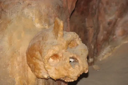 Petralona_skull_covered_by_stalagmite_credit_Nadina_Wikipedia-1024x768.jpg.webp