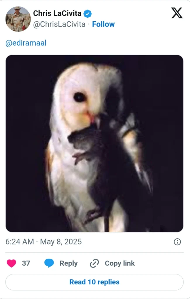 Επίθεση LaCivita στον Ράμα μέσω X - Παρομοίασε τον Αλβανό πρωθυπουργό με ποντίκι 2 IMG 20250508 135923