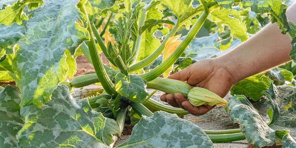 Αγροτουρισμός (1)