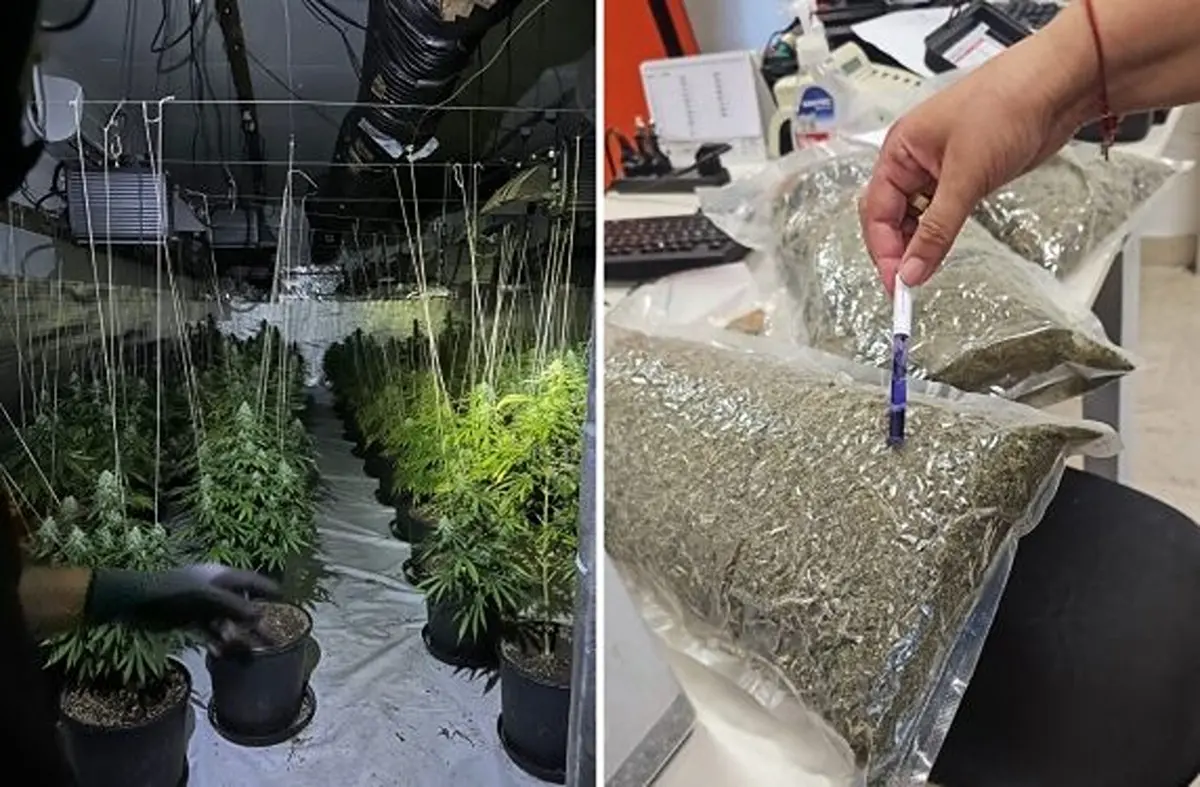 Ναρκωτικά (2)