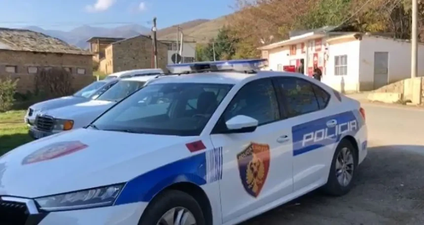 Σύλληψη Ούγγρου πορτοφολά στο Μαυρομάτι 1 Σύνορα (1)