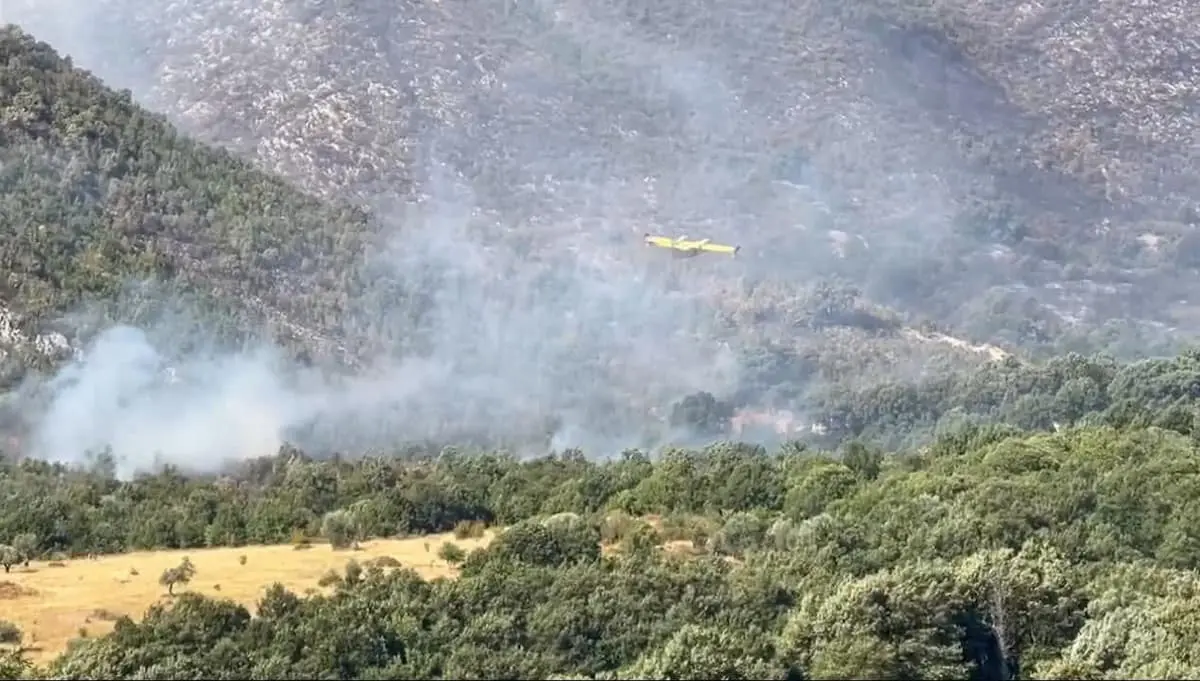 FB_IMG_1754901908204