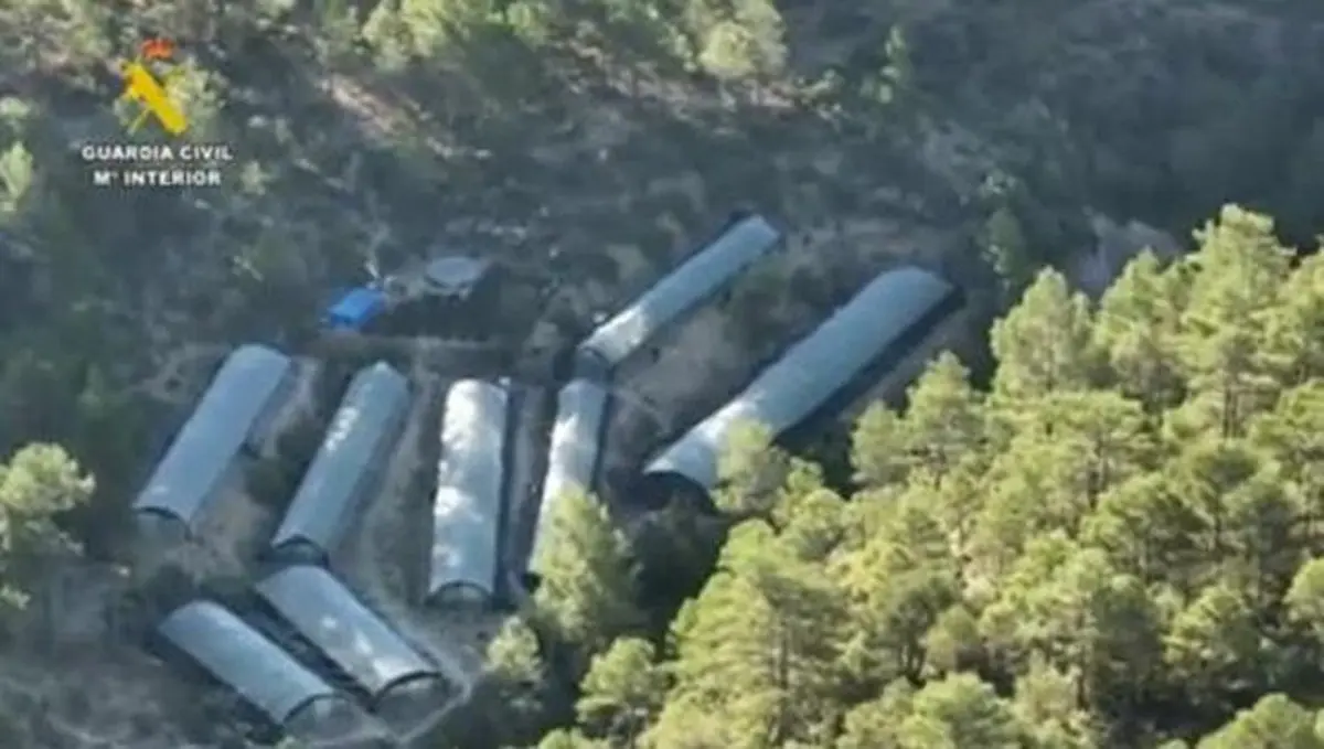 Ναρκωτικά (2)