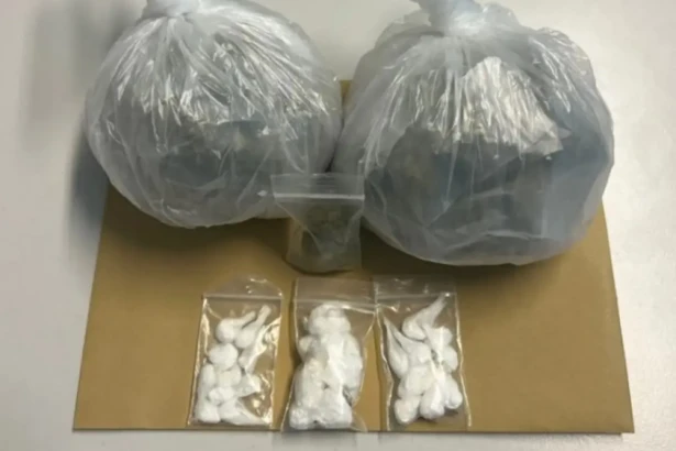 Ναρκωτικά (3)