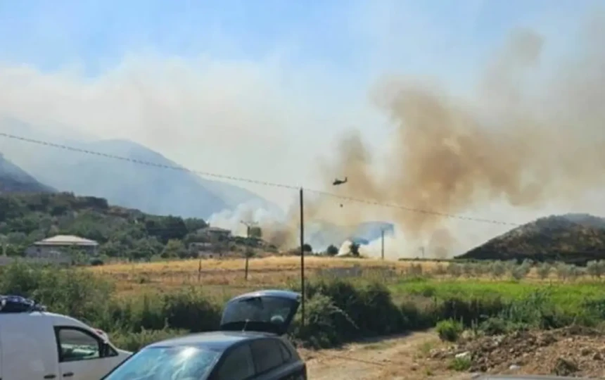 Πυρκαγιές στη Φοινίκη - Κινδυνεύει η Λεσινίτσα 1 Πυρκαγιά (1)