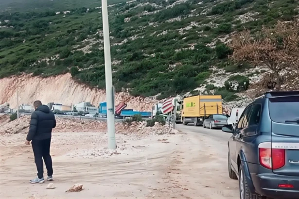 logaras botiliarisma