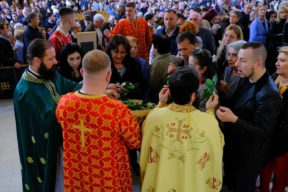 kyiraki vaion naoi alvania