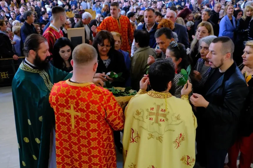 kyiraki vaion naoi alvania