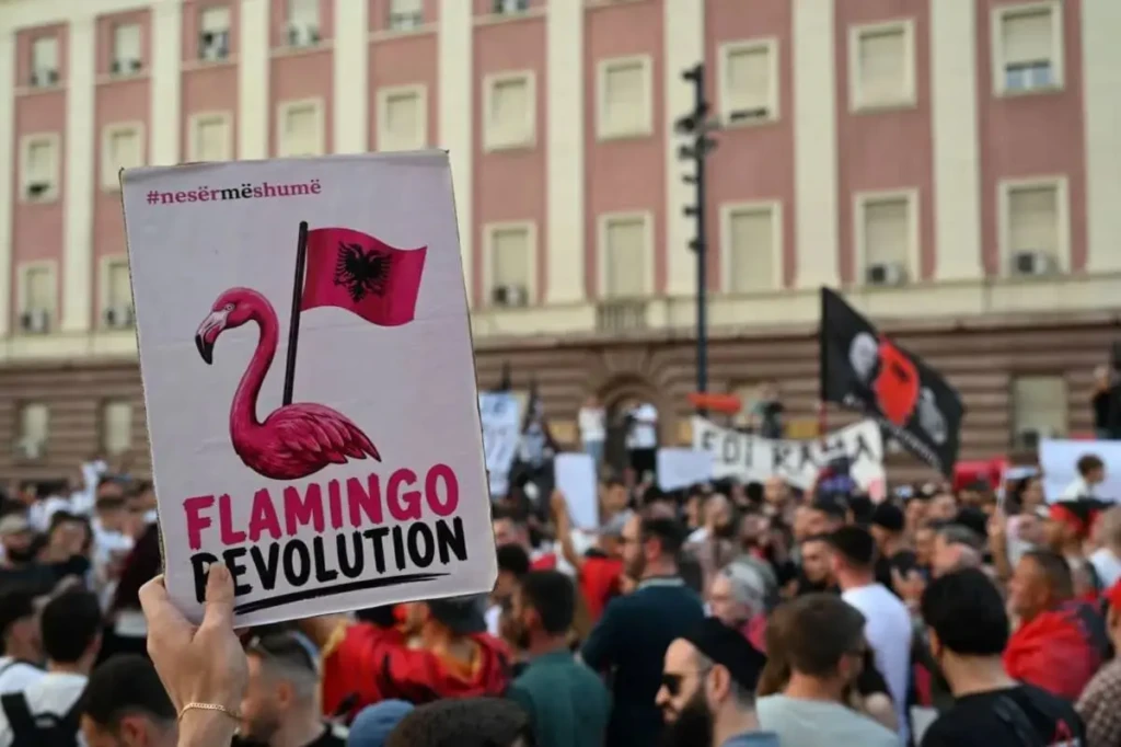 Greece and Albania two different models for coastal development 2 flamingo revolution tirana